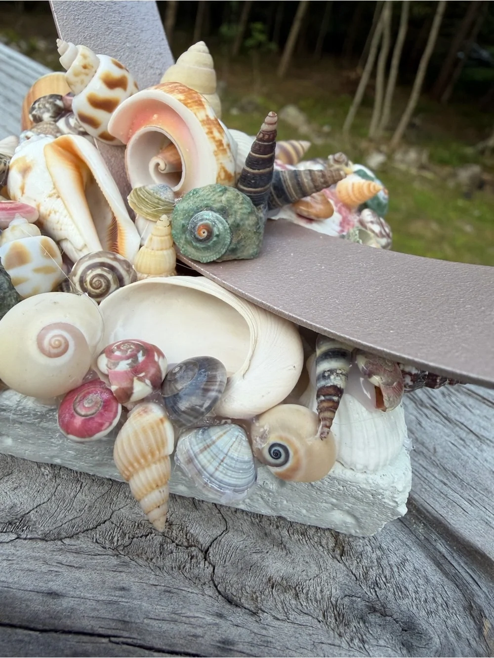 Coastal Decor | Tealight Candle | SeaShell Sculpture